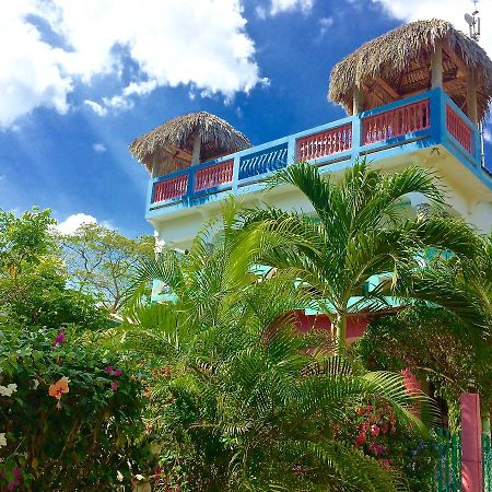 Coral Cottage Jamaica ネグリル エクステリア 写真